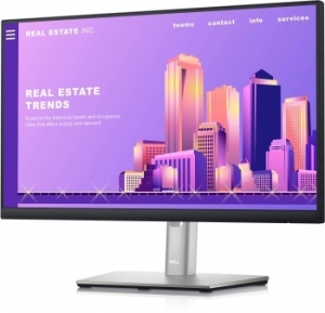  23.8 Dell P2422H  IPS LED 5ms 16:9 HDMI  HAS Pivot 1000:1 250cd 178/178 19