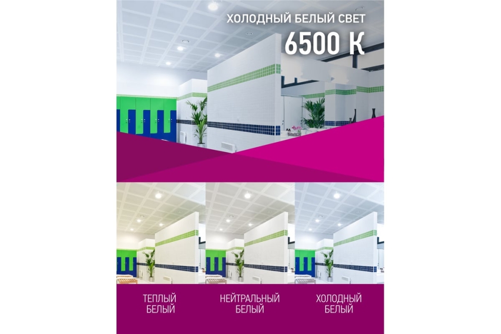   OLL-MR16-5-230-6.5K-GU5.3  61133