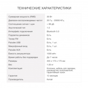  . Hyundai H-PS1006  30W 1.0 BT 10 1500mAh