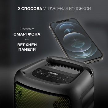  . Hyundai H-PS1006  30W 1.0 BT 10 1500mAh