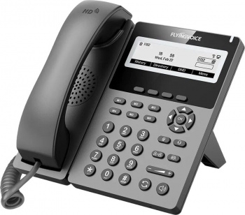 IP Flyingvoice P22G  (.:1)