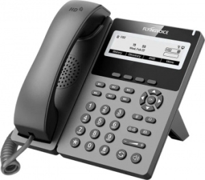  IP Flyingvoice P22G  (.:1)