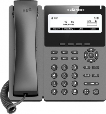  IP Flyingvoice P22G  (.:1)
