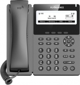  IP Flyingvoice P22G  (.:1)