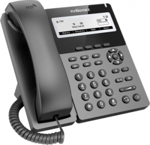  IP Flyingvoice P22G  (.:1)