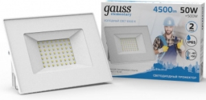   GAUSS 613120350  Gauss Elementary 50W 3510lm IP65 6500 