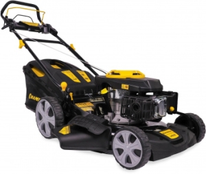  CHAMPION LM5131   3  . 60  51 36.5 31