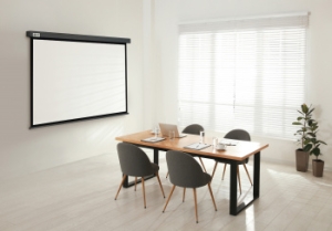  Cactus 180x180 Wallscreen CS-PSW-180X180-SG 1:1 -  