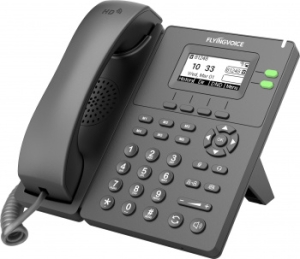  IP Flyingvoice P20  (.:1)