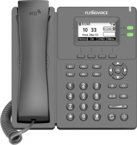  IP Flyingvoice P20  (.:1)