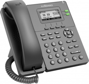  IP Flyingvoice P20  (.:1)