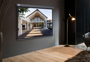  Cactus 206x274 Wallscreen CS-PSW-206X274-SG 4:3 -  