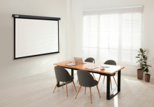  Cactus 206x274 Wallscreen CS-PSW-206X274-SG 4:3 -  