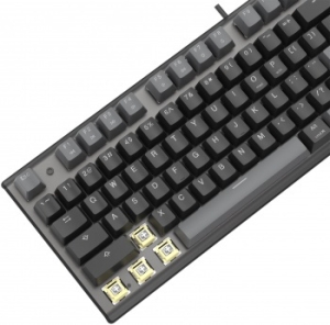  A4Tech Fstyler FS100 Neon   USB for gamer LED (FS100)