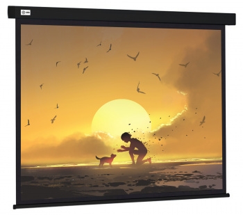  Cactus 150x150 Wallscreen CS-PSW-150X150-BK 1:1 -  