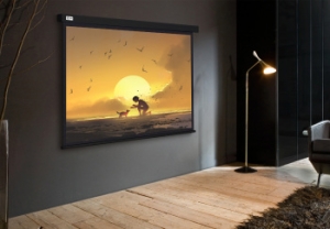  Cactus 150x150 Wallscreen CS-PSW-150X150-BK 1:1 -  
