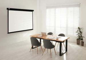  Cactus 150x150 Wallscreen CS-PSW-150X150-BK 1:1 -  