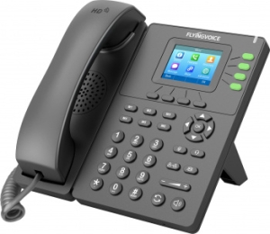  IP Flyingvoice P21P  (.:1)
