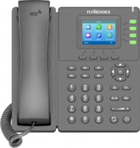  IP Flyingvoice P21P  (.:1)