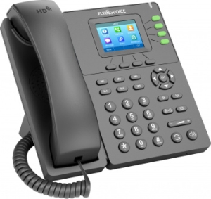  IP Flyingvoice P21P  (.:1)