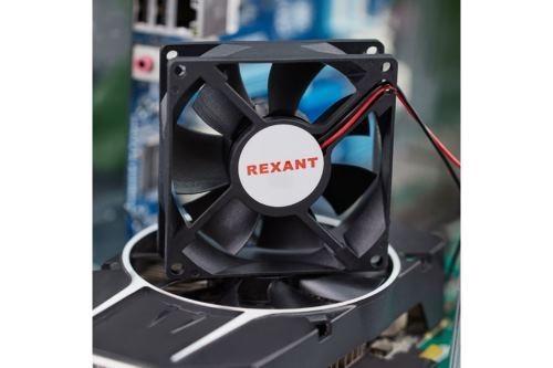  RX 8025MS 24VDC