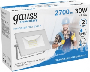   Elementary 30 2100 IP65 6500 . Gauss 613120330