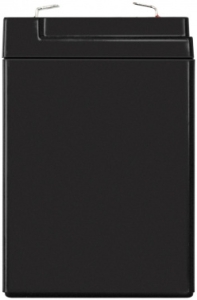  ExeGate DT 6028 (6V 2.8Ah),  F1