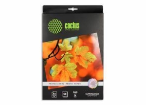  Cactus CS-HGA426050 Professional  4 260 /2 50 