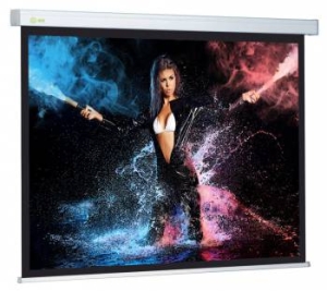  Cactus 168x299 Wallscreen CS-PSW-168x299 16:9 -  