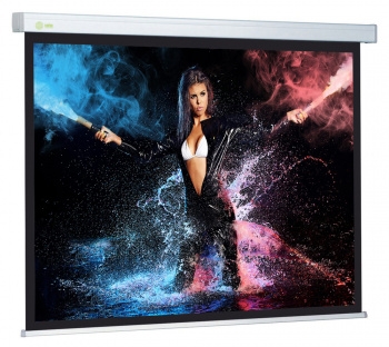  Cactus 180x180 Wallscreen CS-PSW-180x180 1:1 -  