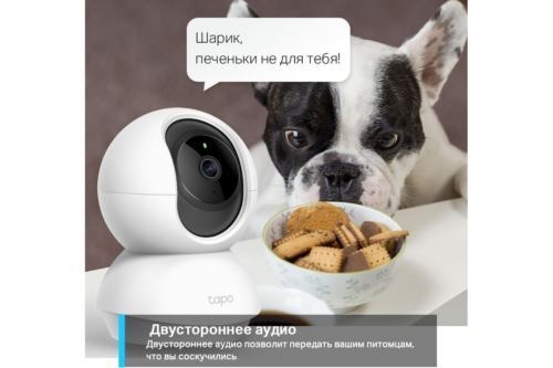  TP-Link Tapo C200