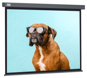  Cactus 149.4x265.7 Wallscreen CS-PSW-149X265-SG 16:9 -  