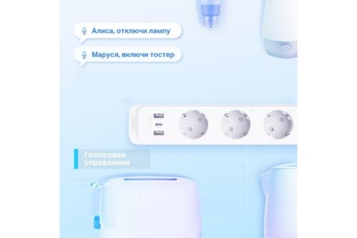    TP-Link Tapo P300