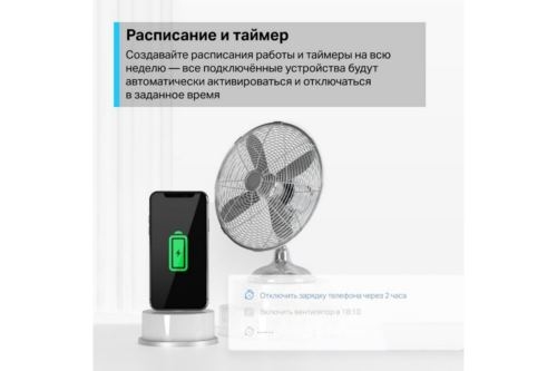    TP-Link Tapo P300