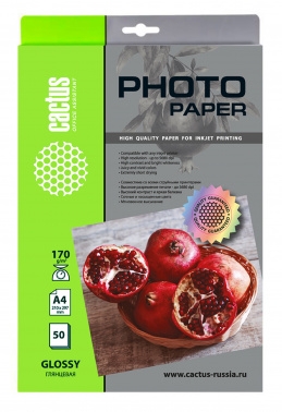  Cactus CS-GA417050 A4/170/2/50./    
