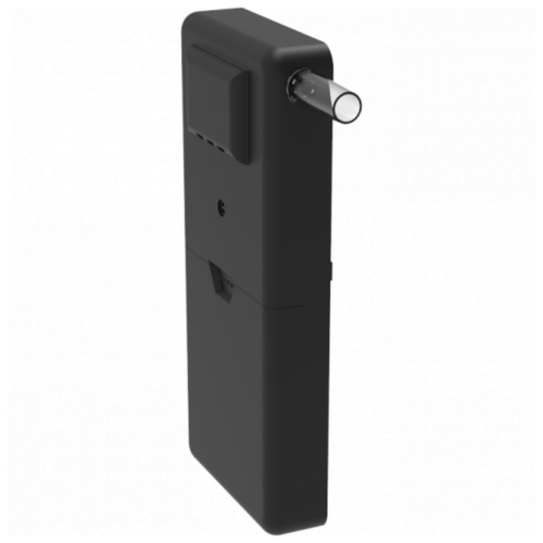  RITMIX RAT-600