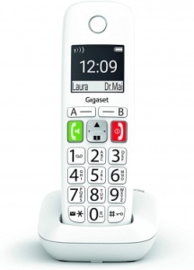  . Dect Gigaset E290HX HSB RUS   E290