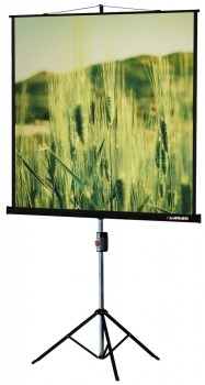 Экраны LUMIEN LUMIEN Master Picture LMP-100101, 127х127 см, 1:1