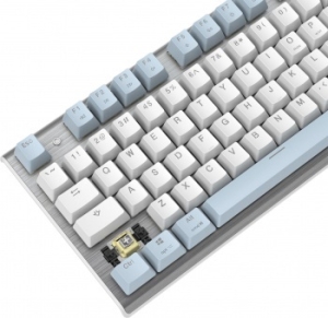  A4Tech Fstyler FS100 Neon  / USB for gamer LED (FS100)