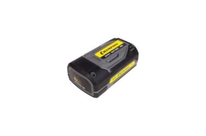   Champion B400 36 2.5 Li-Ion