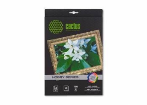  Cactus c    CS-DA419010  4 190 /2 10 