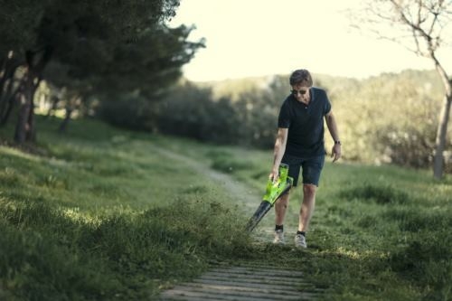   GreenWorks G40ABK4, 40V,   4*   (2400807UB)