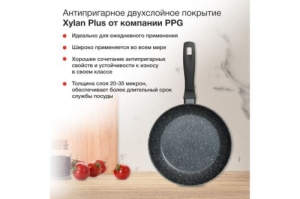  Starwind Optimum induction SW-OPI2024  24 : Skandia X-treme  