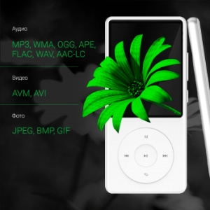  Hi-Fi Flash Digma M5 BT 16Gb /2.4/FM/microSD/microSDHC/clip
