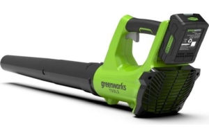   Greenworks 24V      (2404807)24V,    .  