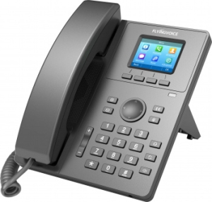  IP Flyingvoice P11P  (.:1)