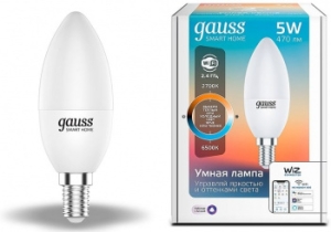   Gauss Smart Home DIM CCT E14 C37 5 