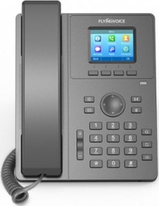  IP Flyingvoice P11G  (.:1)