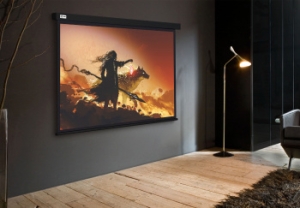  Cactus 149.4x265.7 Wallscreen CS-PSW-149X265-BK 16:9 -  