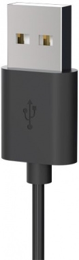  FM- Ritmix BTR-200  BT USB (80002461)